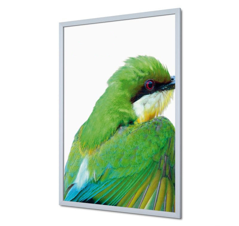 A2 Julistekehys 31mm